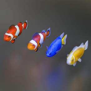 现代鱼3D模型下载